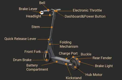 Segway MAX Electric Scooter - Wellbots